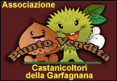 Castagne della Garfagnana